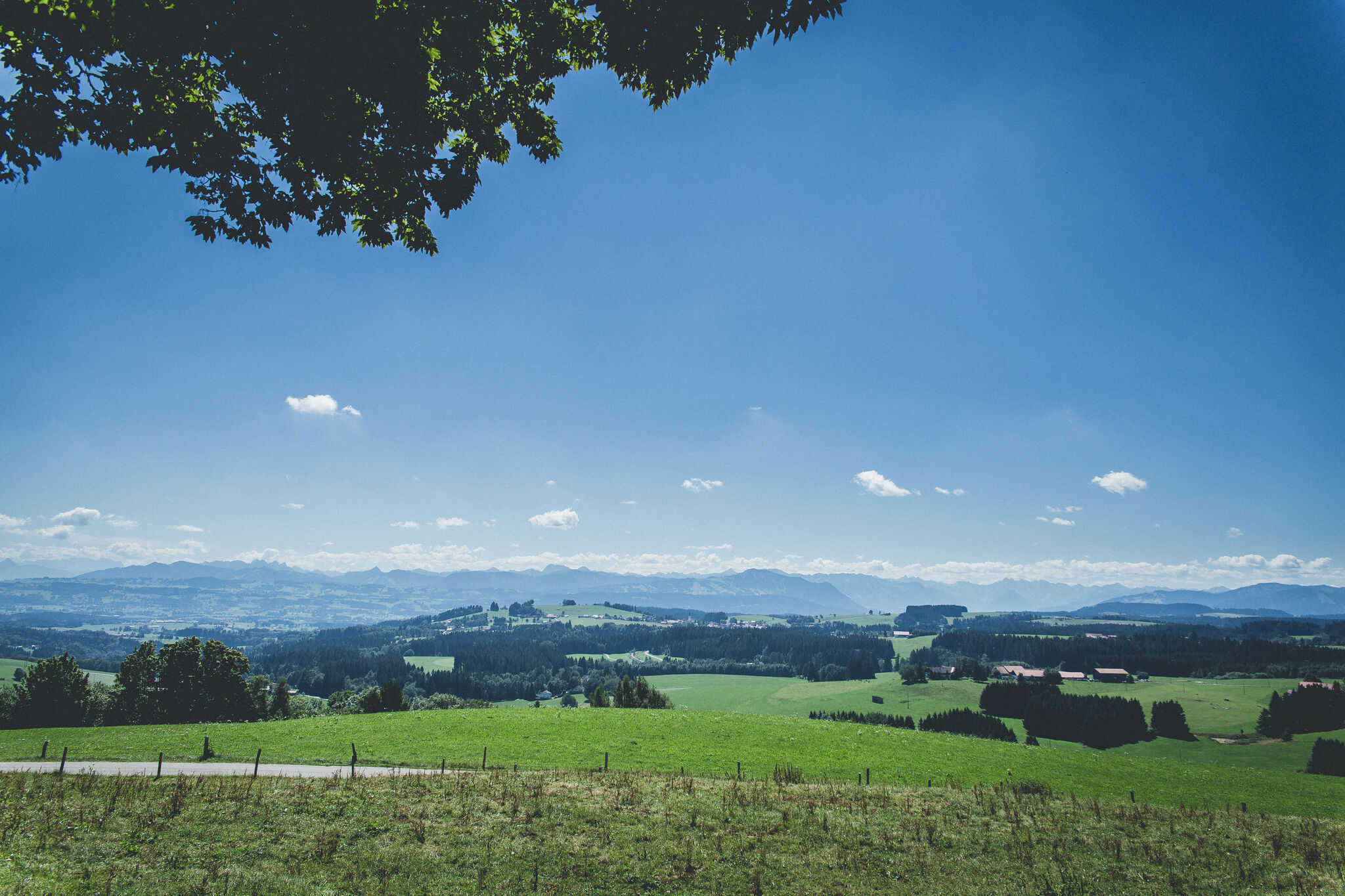Allgäu Summer