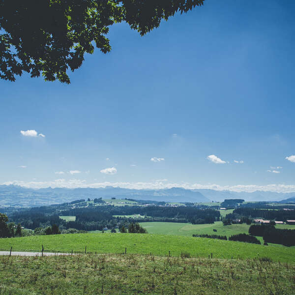 Allgäu Summer