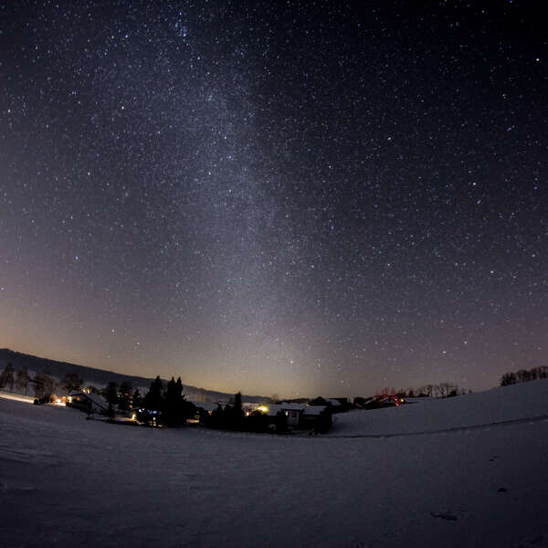 Stars