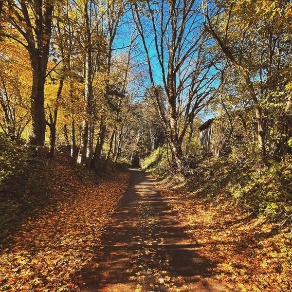 Autumn