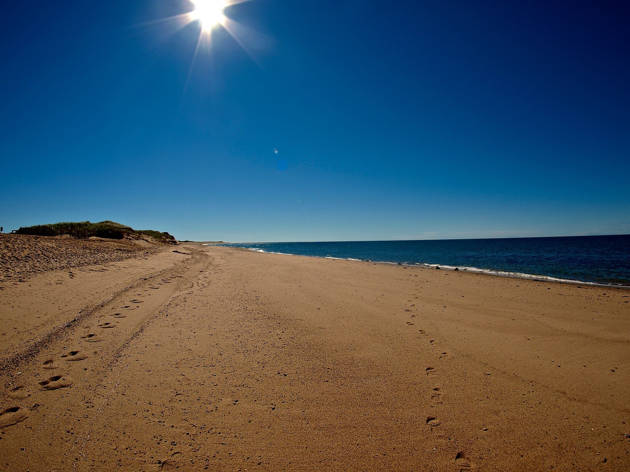 Cape Codd