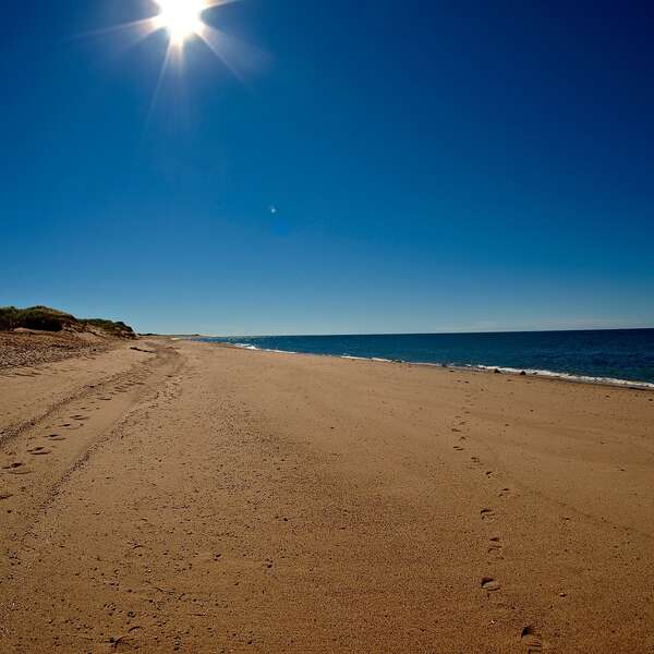 Cape Codd