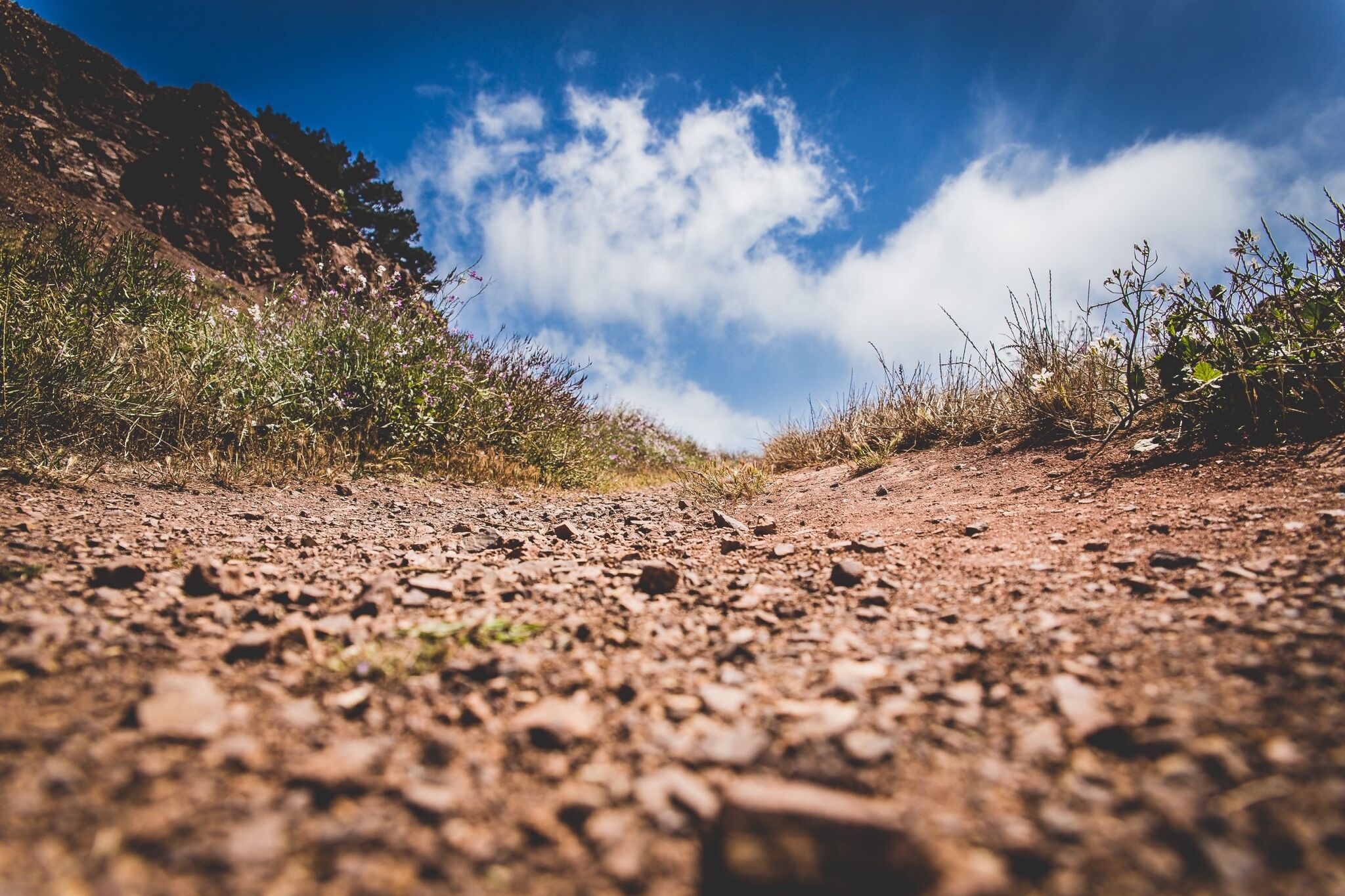 Dirt