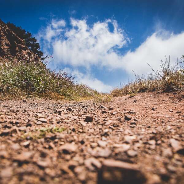 Dirt
