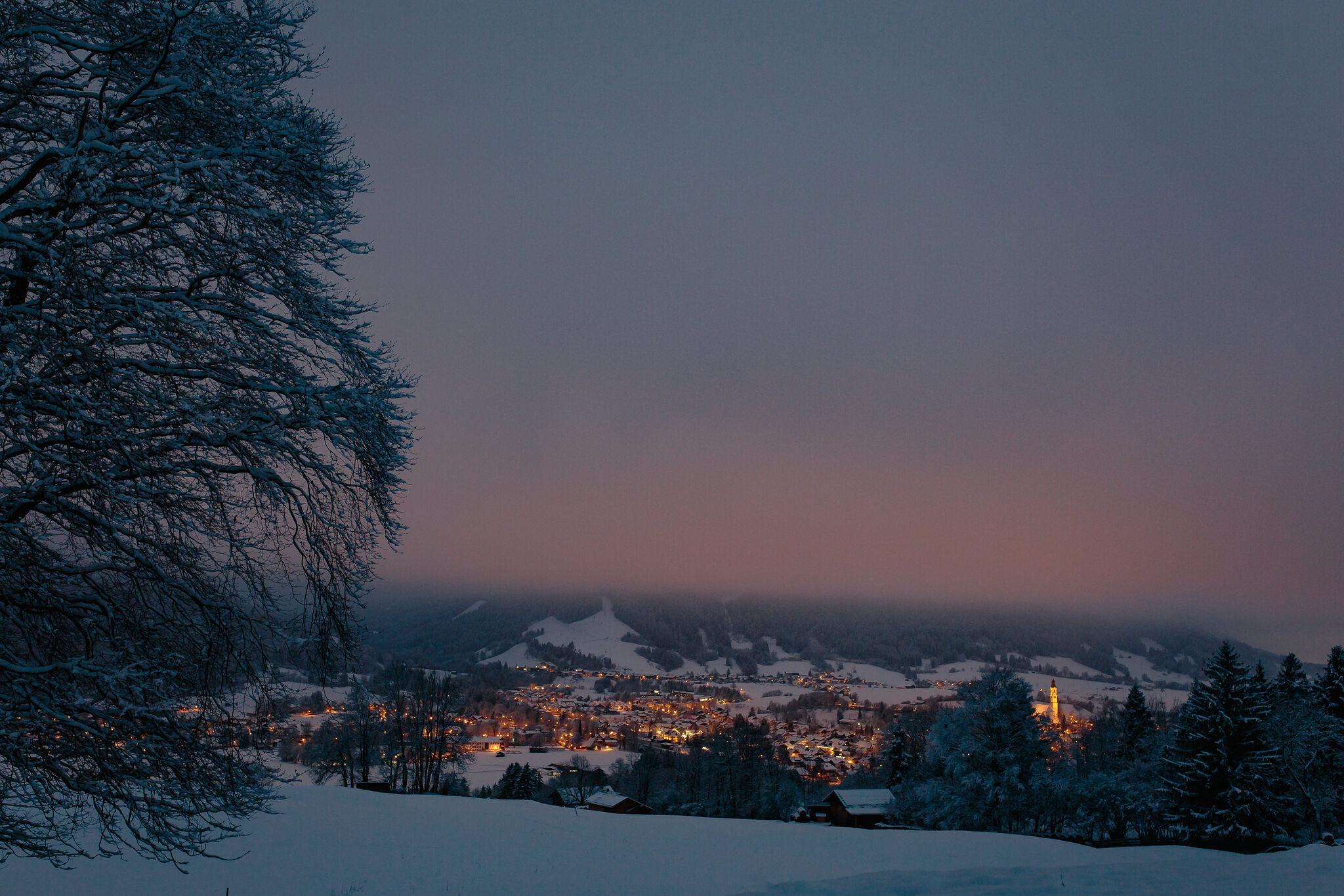 Snowy Eve