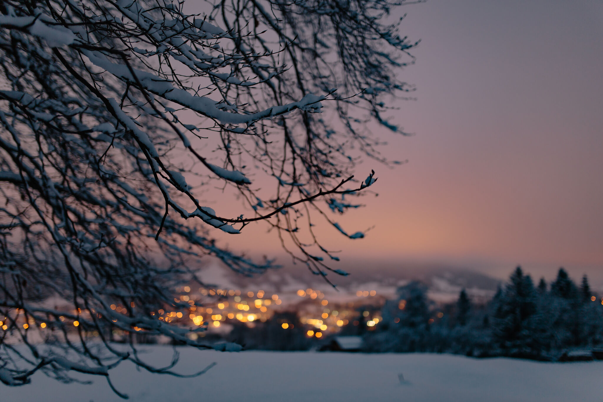 Snowy Eve