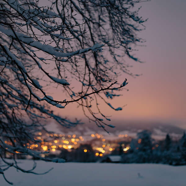 Snowy Eve