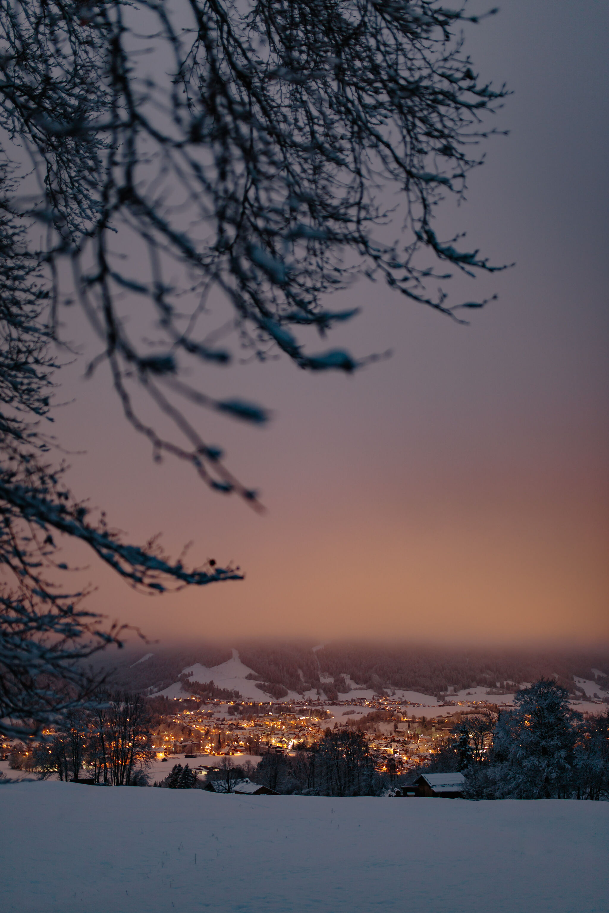 Snowy Eve