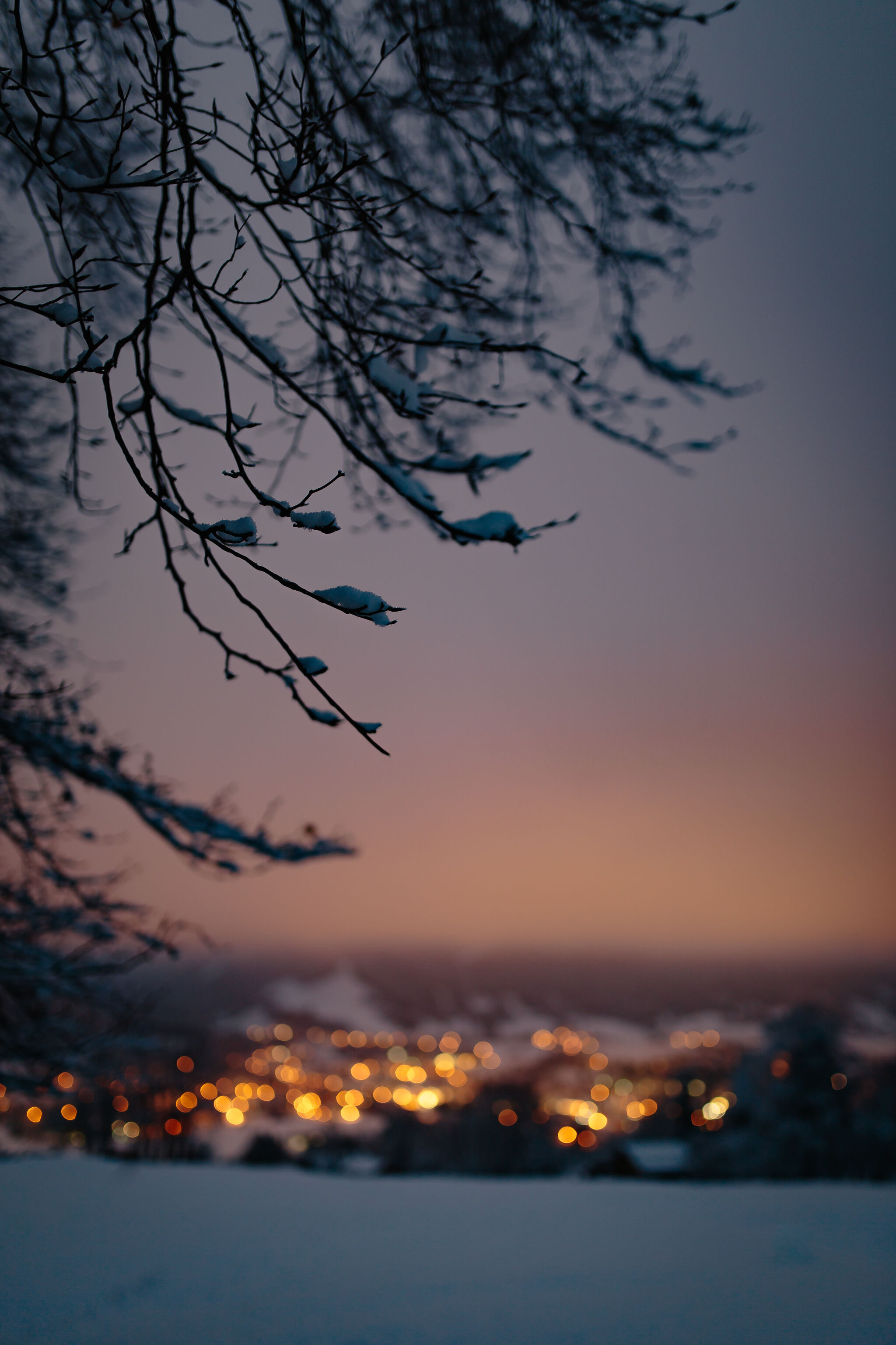 Snowy Eve
