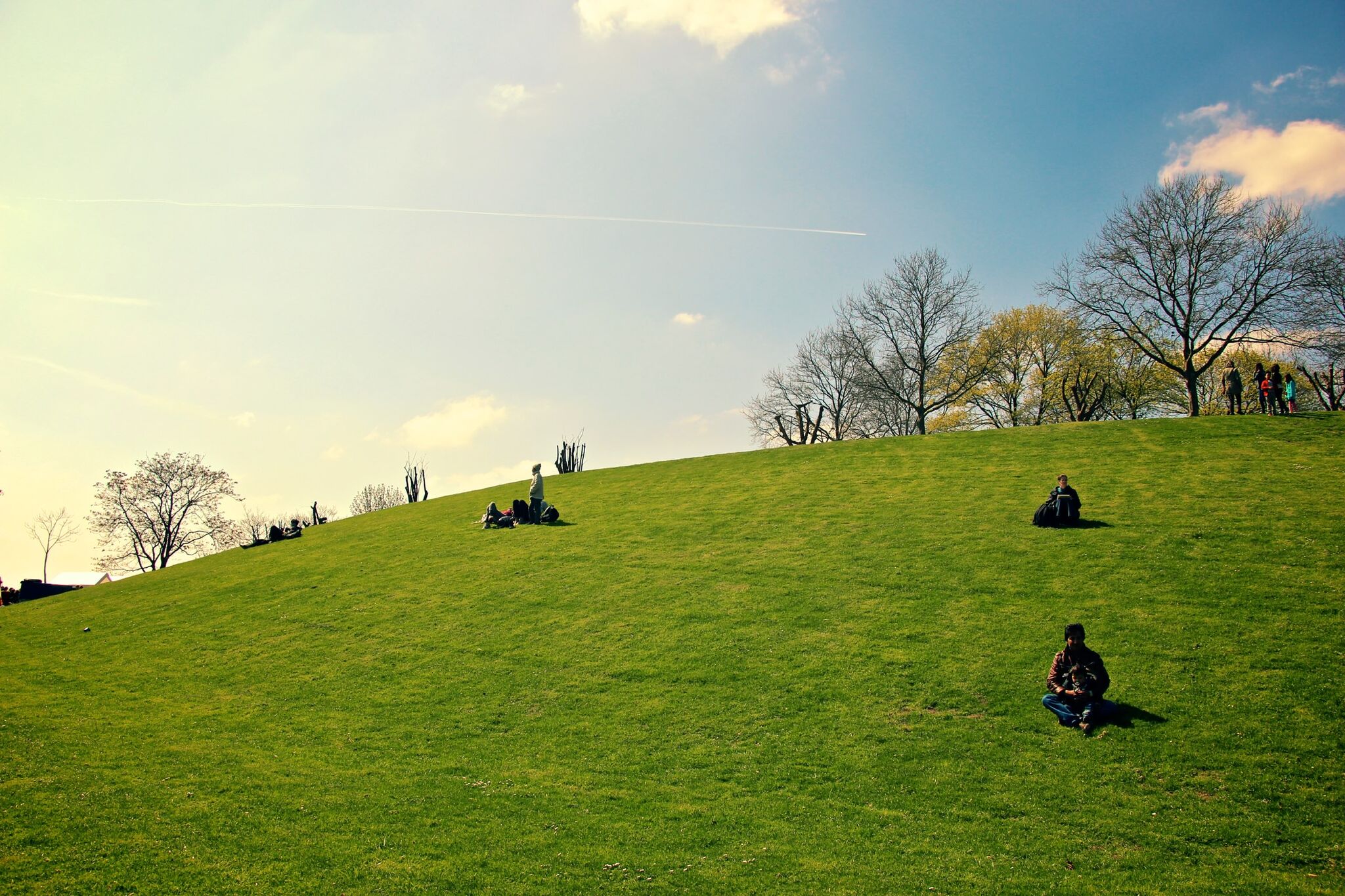 Spring in Bonn