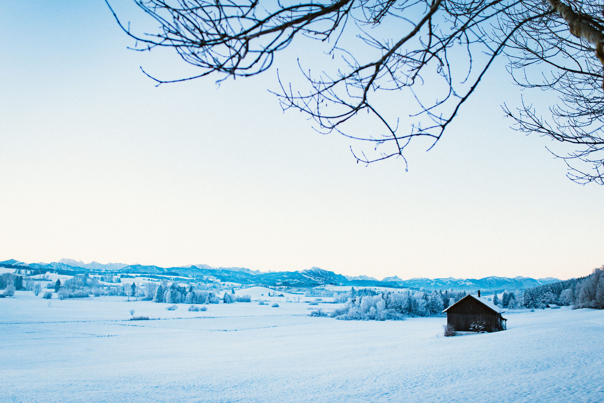Winter Morning