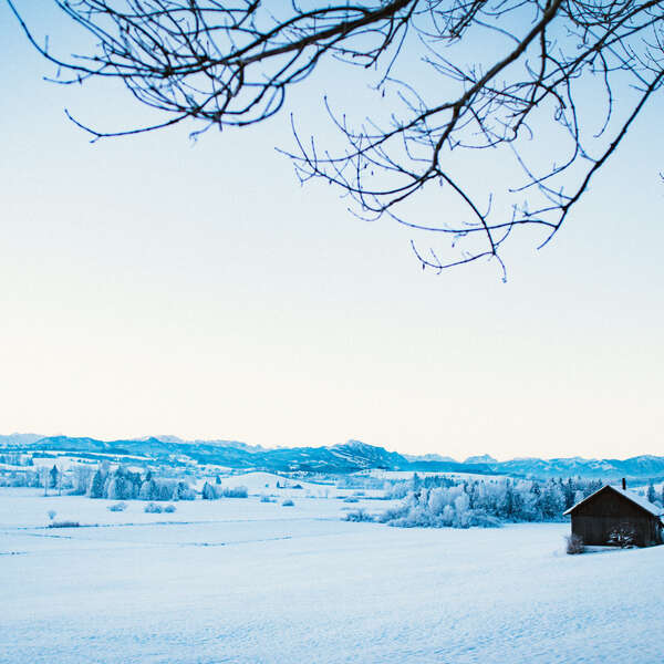 Winter Morning