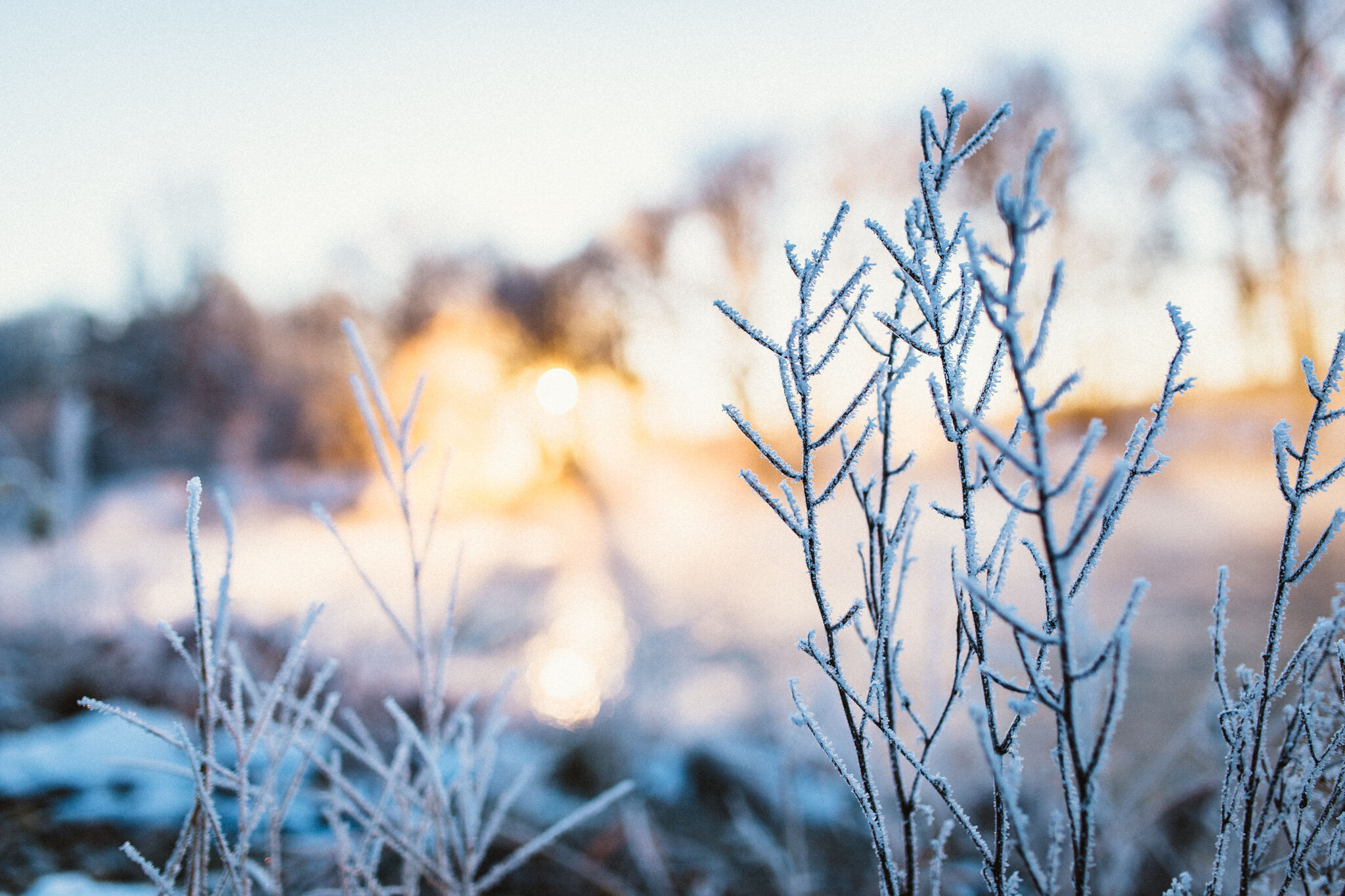 Winter Sunrise